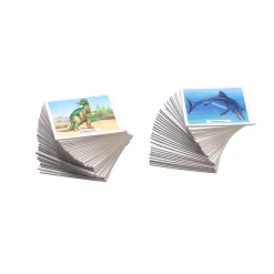 Memory><noscript><img width=