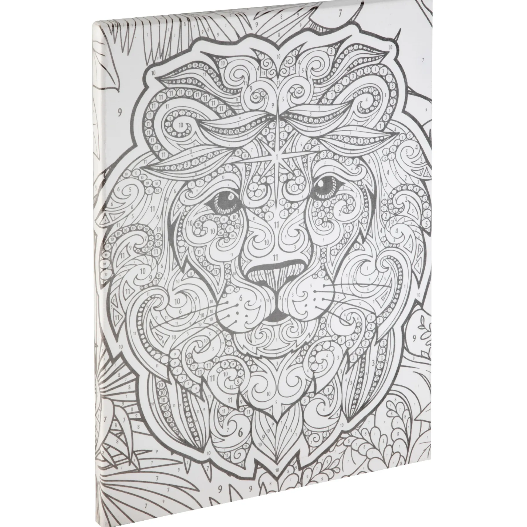 Verven / Schilderen> Schilderen Op Nummer Leeuw Canvas 30X40