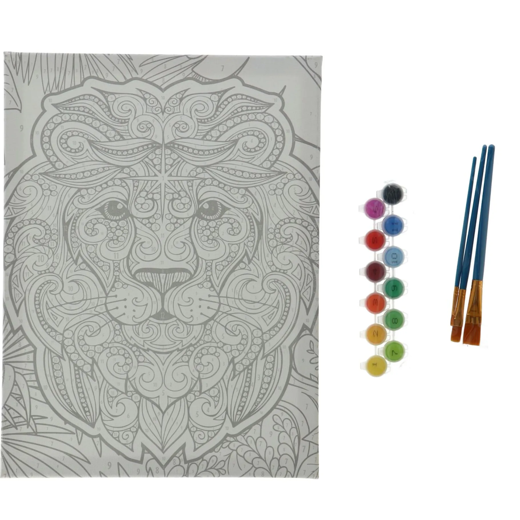 Verven / Schilderen> Schilderen Op Nummer Leeuw Canvas 30X40