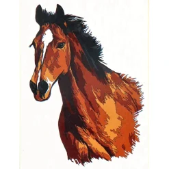 Verven / Schilderen> Schilderen op nummer paard