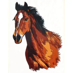 Verven / Schilderen></noscript> Schilderen op nummer paard