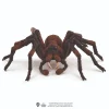 Speelfiguren>Schleich 13987 Aragog