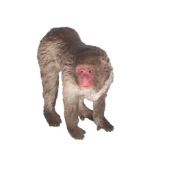 Speelfiguren><noscript><img width=