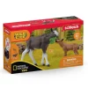 Speelfiguren>Schleich 42603 Moose with Calf (NatGeo)