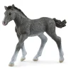 Speelfiguren>Schleich 13944 Trakehner Veulen