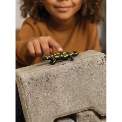 Speelfiguren><noscript><img width=