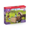 Speelfiguren>Schleich 42438 Wasplaats Met Paard & Emily