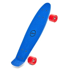 Fidget Toys> SkateBoard Penny 3 Assorti