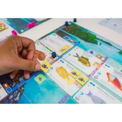 Bordspellen><noscript><img width=