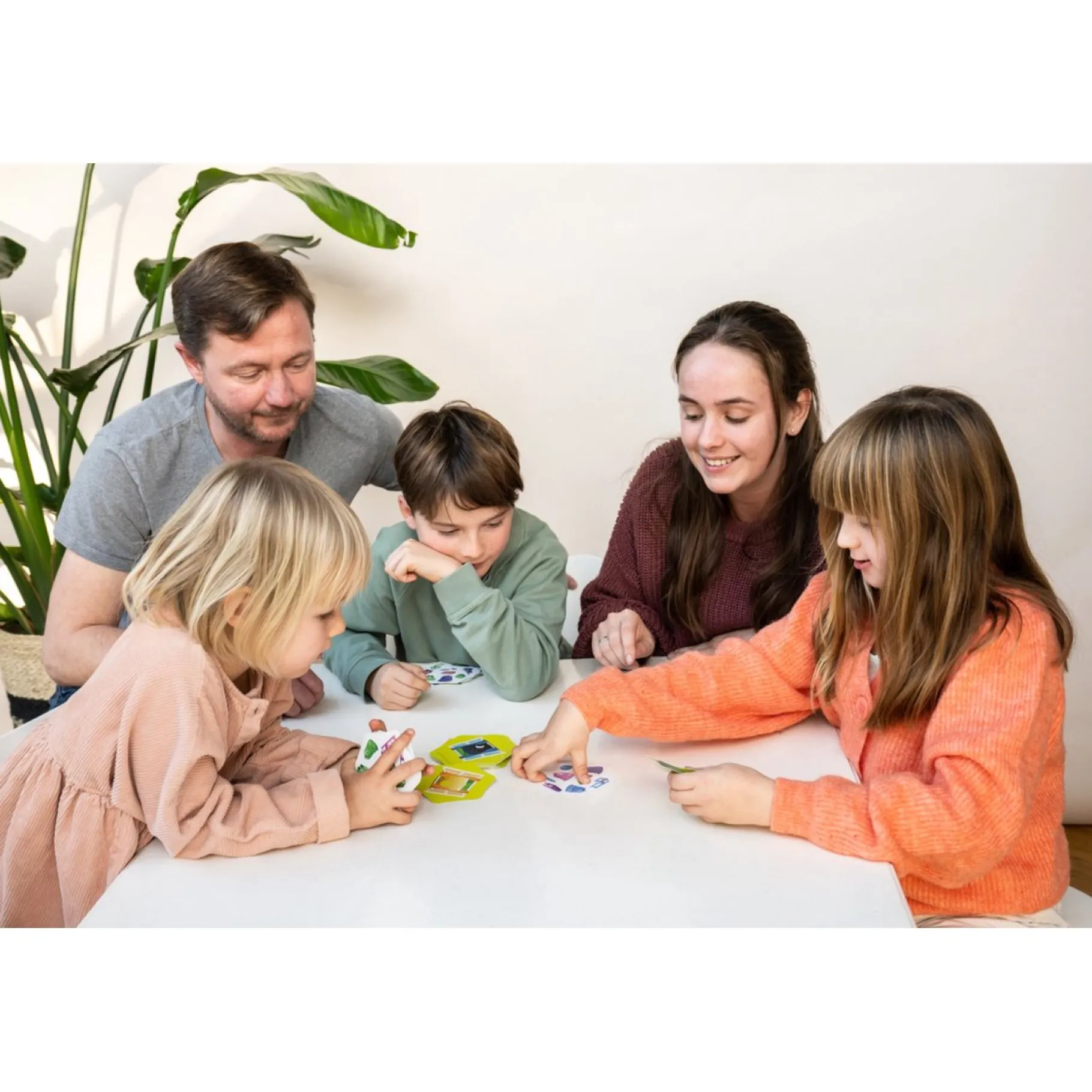 Familiespellen> Spel Flex IQ Switch It!