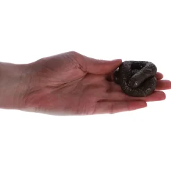 Fidget Toys><noscript><img width=