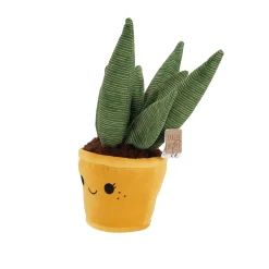 Overige><noscript><img width=