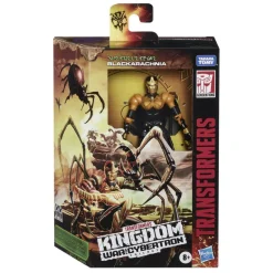 Actiefiguren|Jongens>Hasbro Transformers Deluxe Black Arachnia