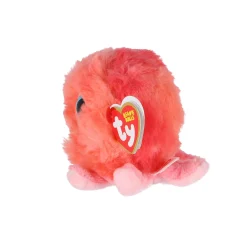 Overige><noscript><img width=