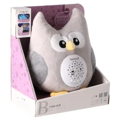 Overige><noscript><img width=