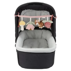 Babyspeelgoed> Wagenspanner Fairy Garden