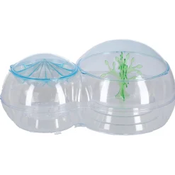 Wetenschapsspellen|Jongens><noscript><img width=