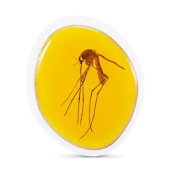 Robots><noscript><img width=